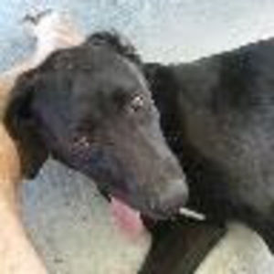 Meet your Posher, Matthew